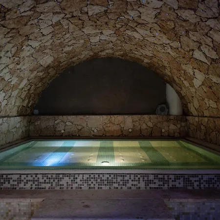 酒店 亚历山大酒店 4*