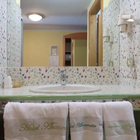 酒店 亚历山大酒店