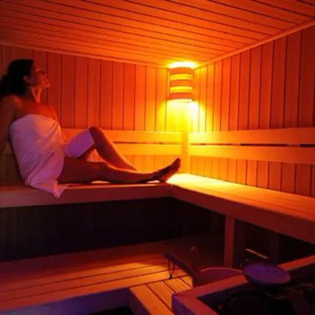 酒店 亚历山大酒店 利莫内-苏尔加达