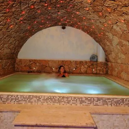 酒店 亚历山大酒店