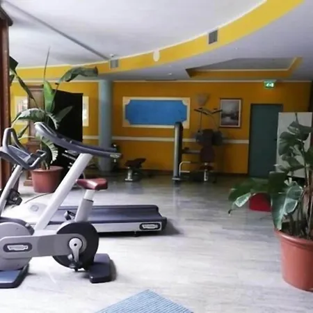 酒店 亚历山大酒店