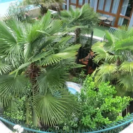 亚历山大酒店 酒店 利莫内-苏尔加达