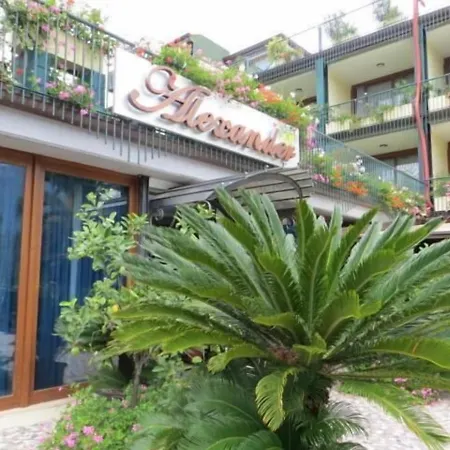 亚历山大酒店 酒店 4*