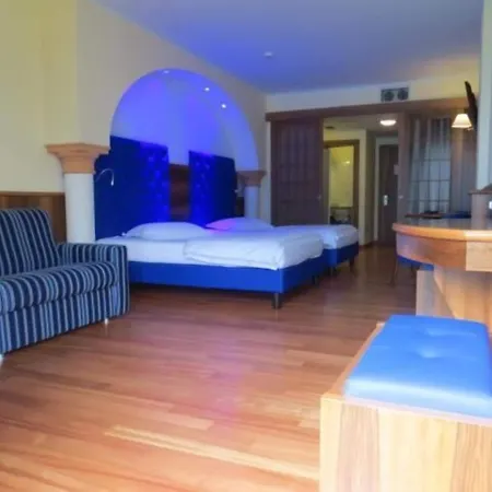 酒店 亚历山大酒店 4*