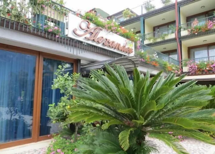 Alexander Hotel 4*